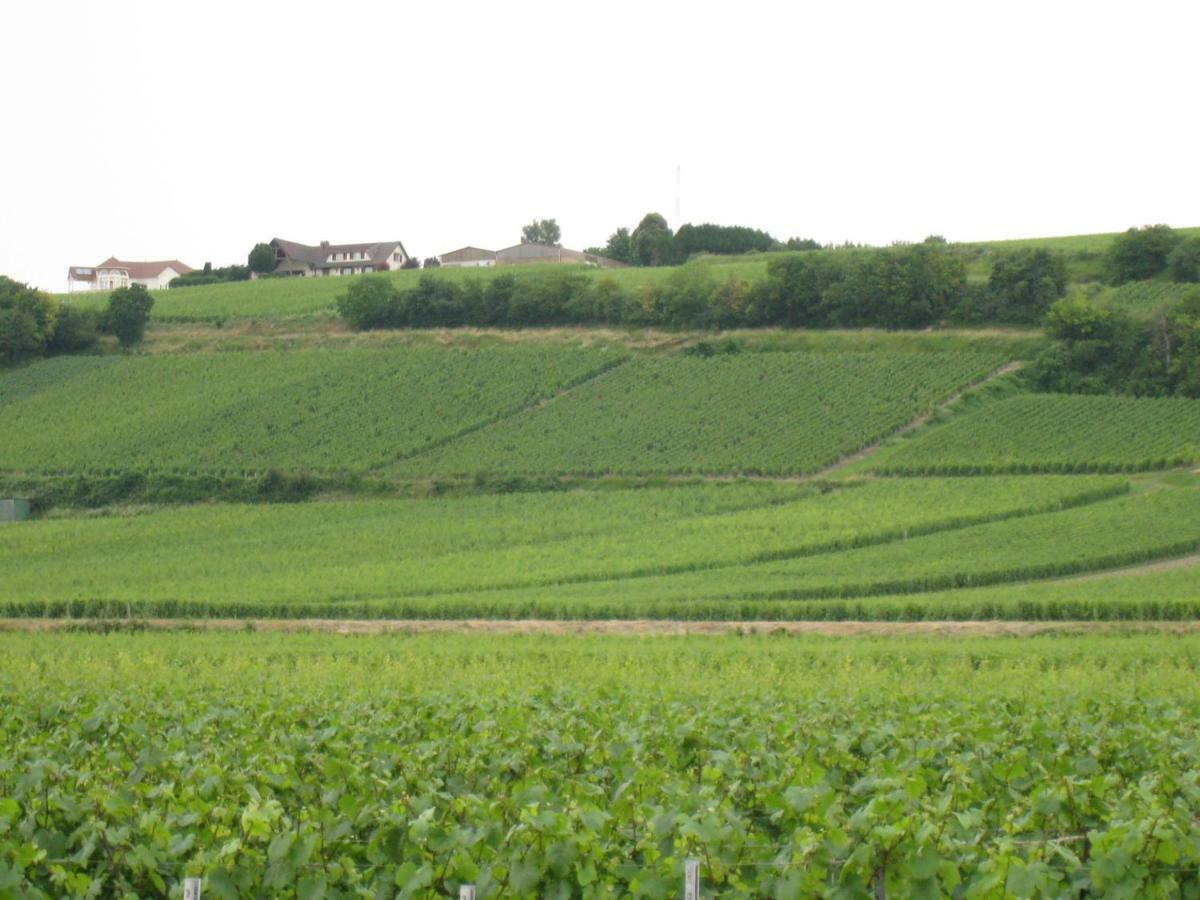 La Chambre D'Amis La Costignieres Montgueux Ngoại thất bức ảnh